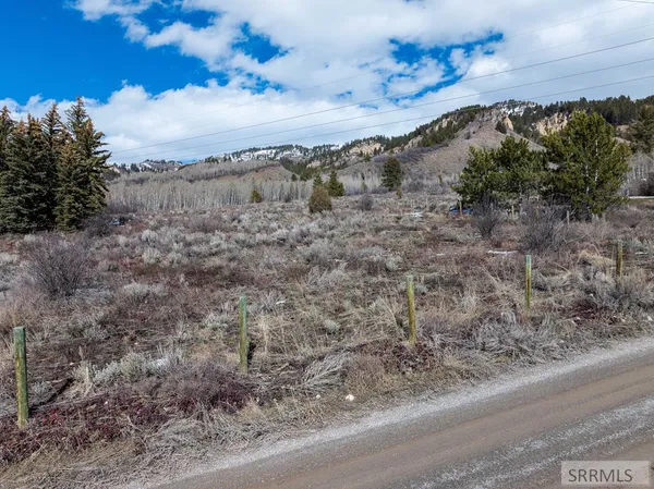 $249,900 | Lot 2 Choke Cherry Lane, Irwin, ID 83428