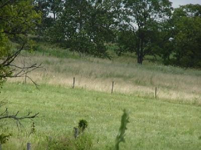 1011 Antrobus Road Berry, KY 41003 - Photo 4 of 8 Gallery Image 4