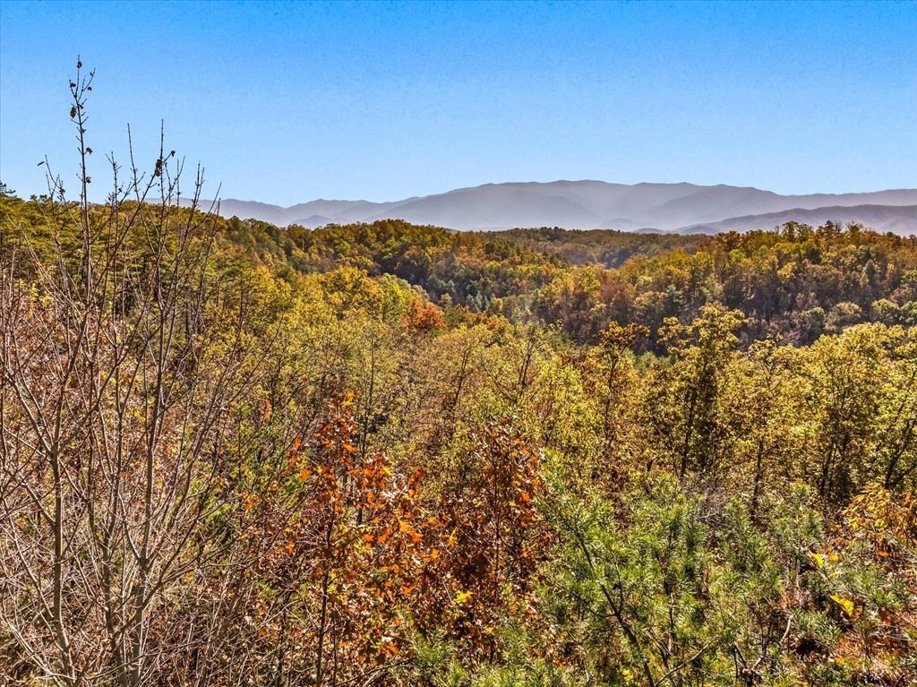 16 Wesley Way Sevierville, TN 37876 - Photo 21 of 22 Gallery Image 21