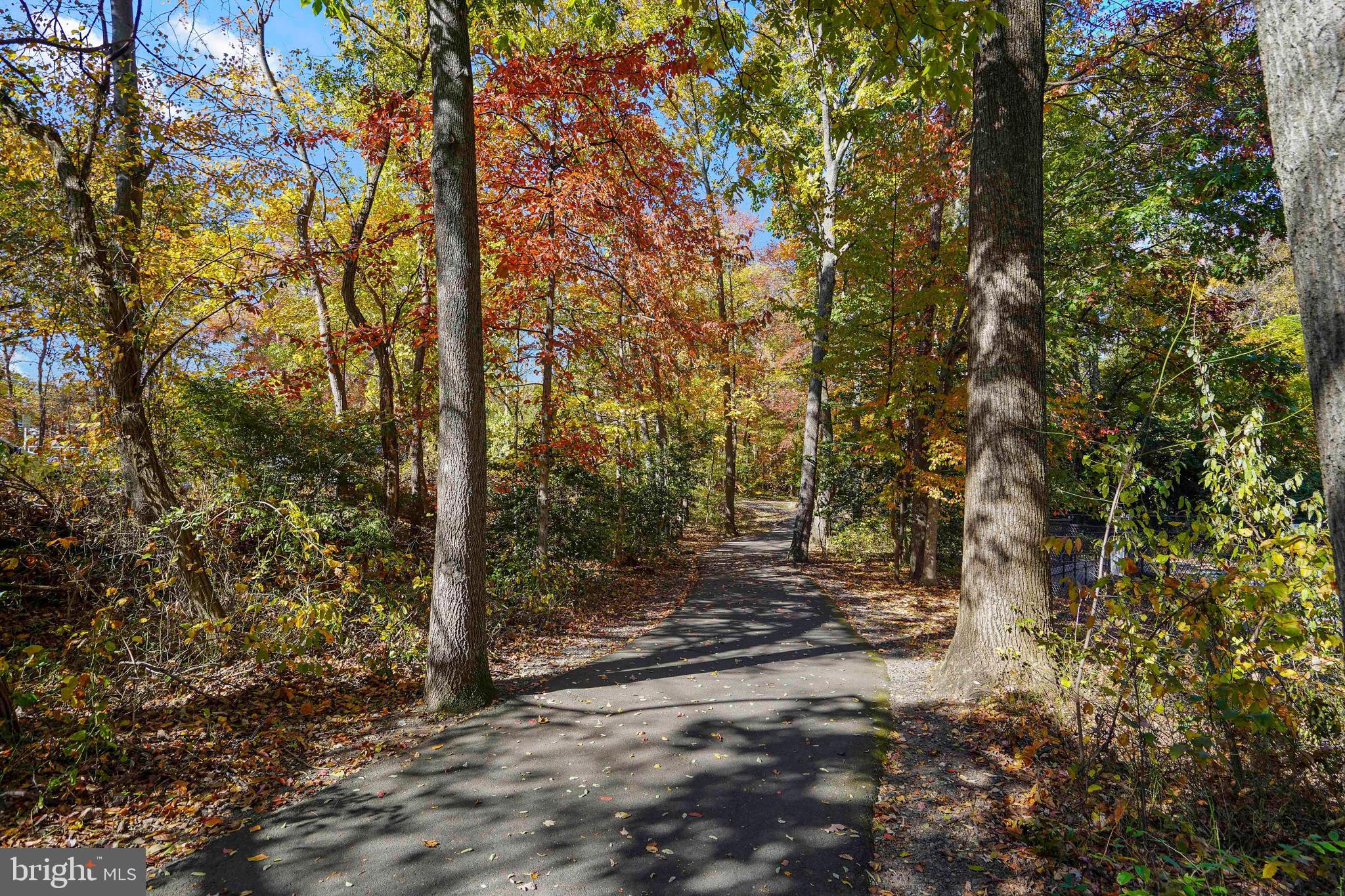 2006 Lakebreeze Way Reston, VA 20191 - Photo 47 of 49 a view of a forest filled with trees