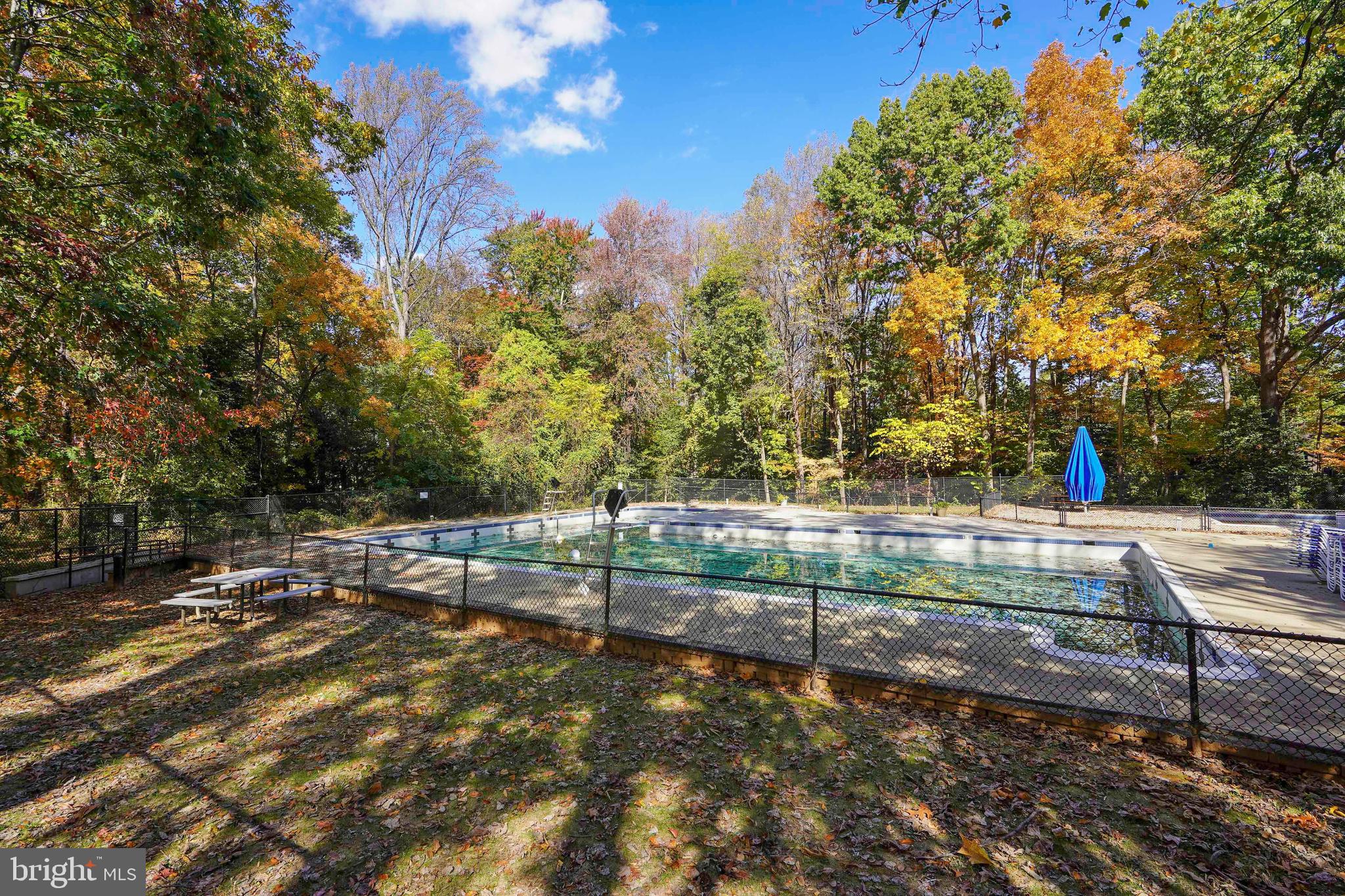 2006 Lakebreeze Way Reston, VA 20191 - Photo 49 of 49 a view of backyard with tree