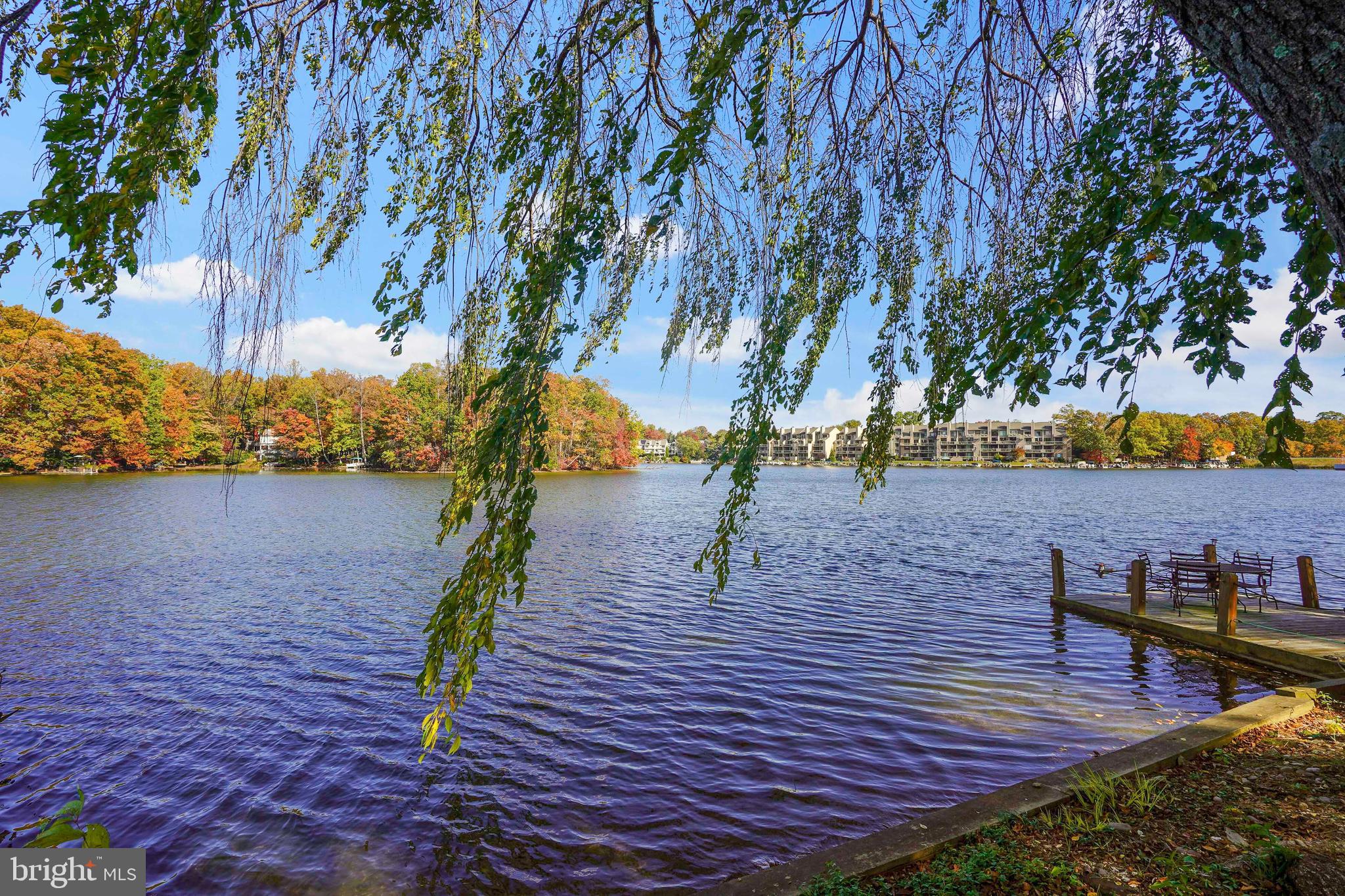 2006 Lakebreeze Way Reston, VA 20191 - Photo 10 of 49