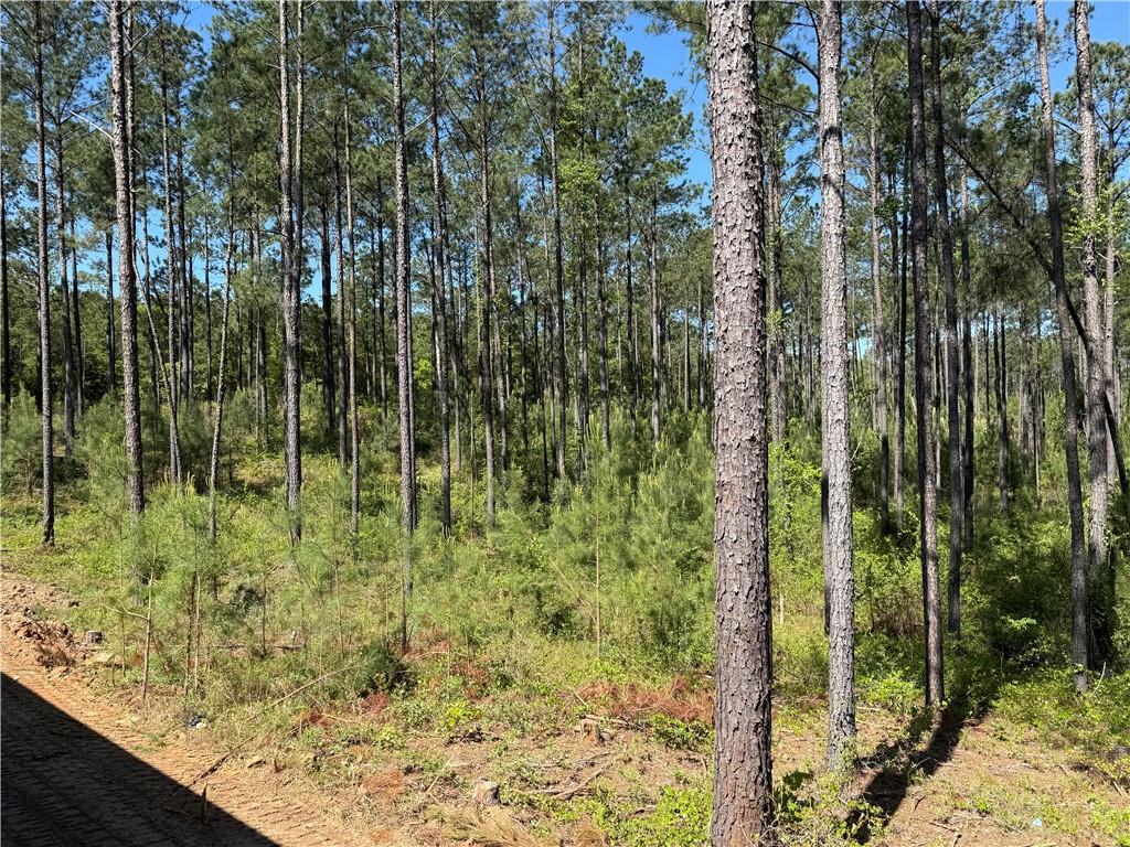 300 Ridge Road Seale, AL 36875 - Photo 7 of 9 Gallery Image 7