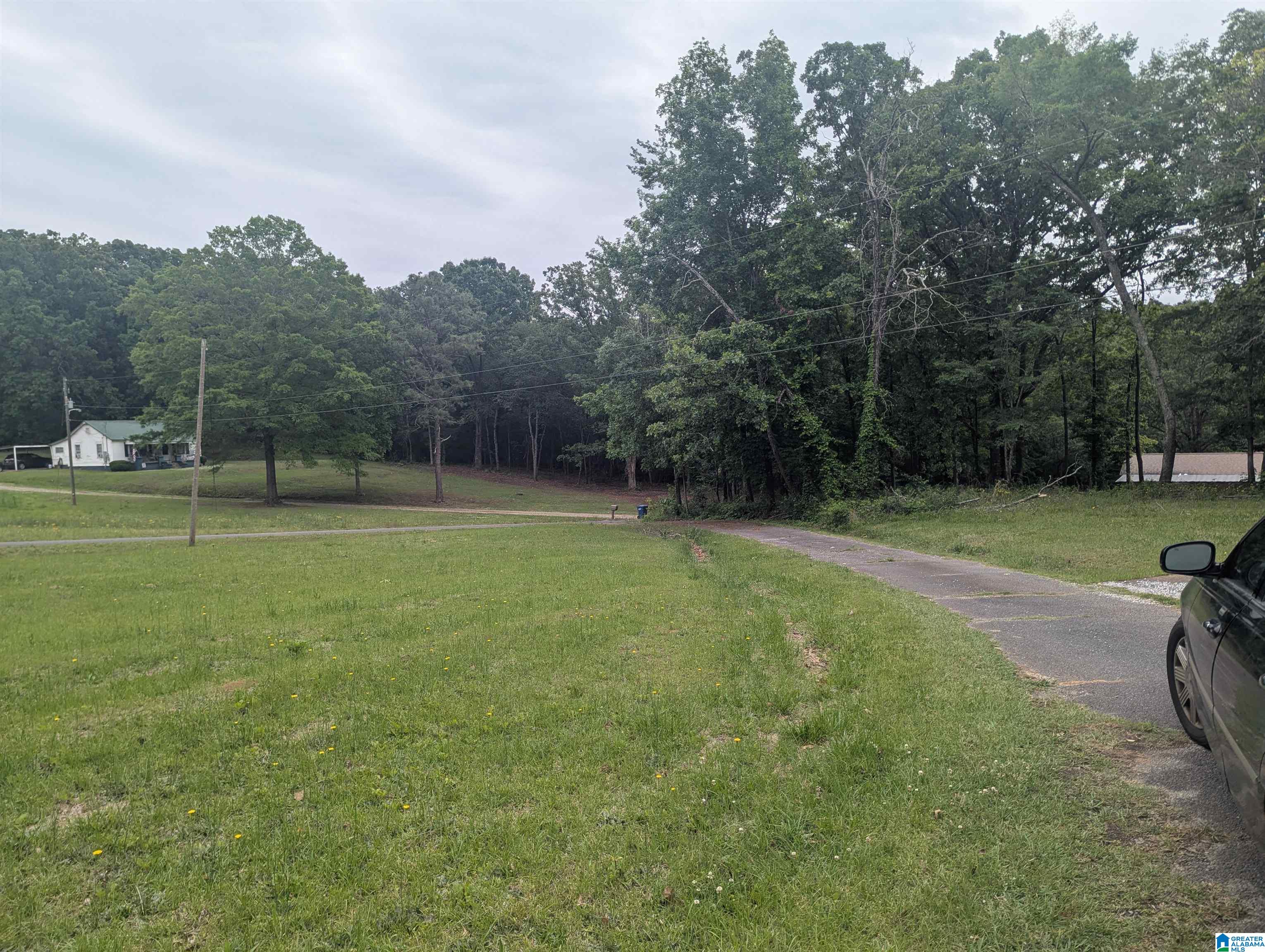 297 Crestview Road Talladega, AL 35160 - Photo 4 of 20