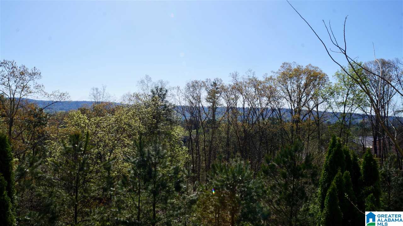 2118 Eagle Ridge Drive Birmingham, AL 35242 - Photo 2 of 44