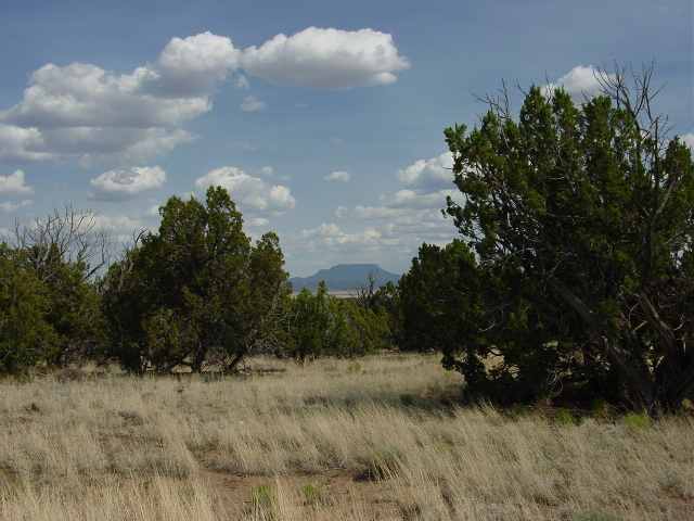 191 Indian Springs Road Quemado, NM 87829 - Photo 2 of 5