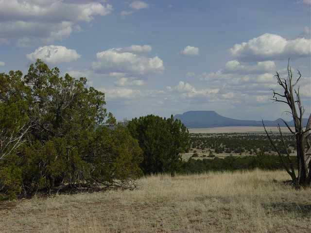 191 Indian Springs Road Quemado, NM 87829 - Photo 3 of 5