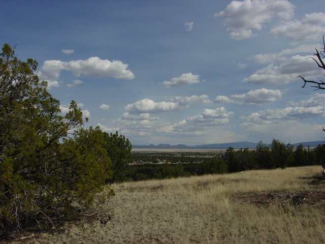 191 Indian Springs Road Quemado, NM 87829 - Photo 4 of 5