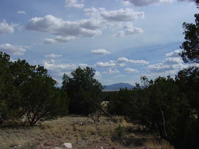 191 Indian Springs Road Quemado, NM 87829 - Photo 5 of 5