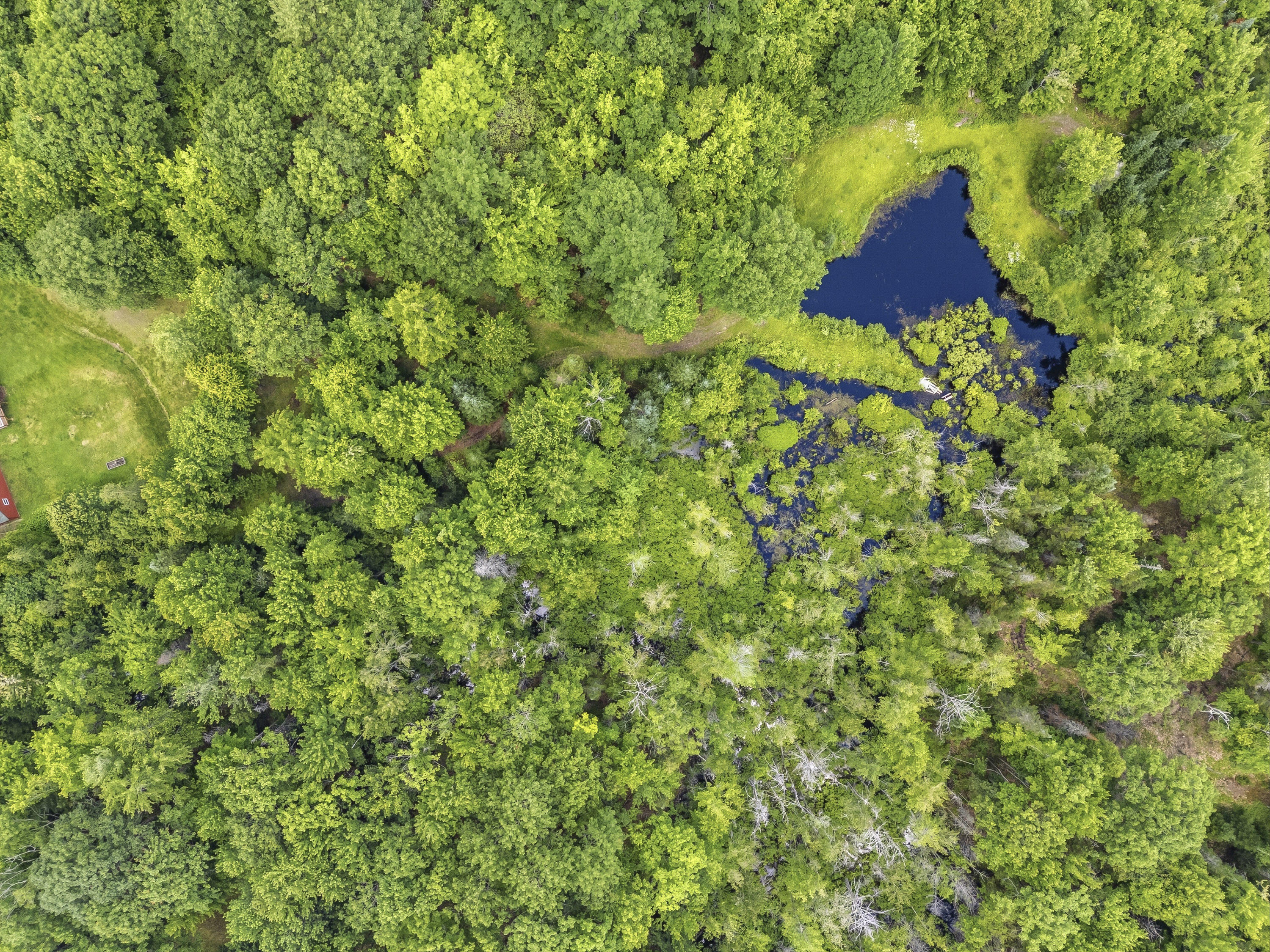 225 Morrill Road Winslow, ME 04901 - Photo 66 of 66 225 Morrill Rd_174