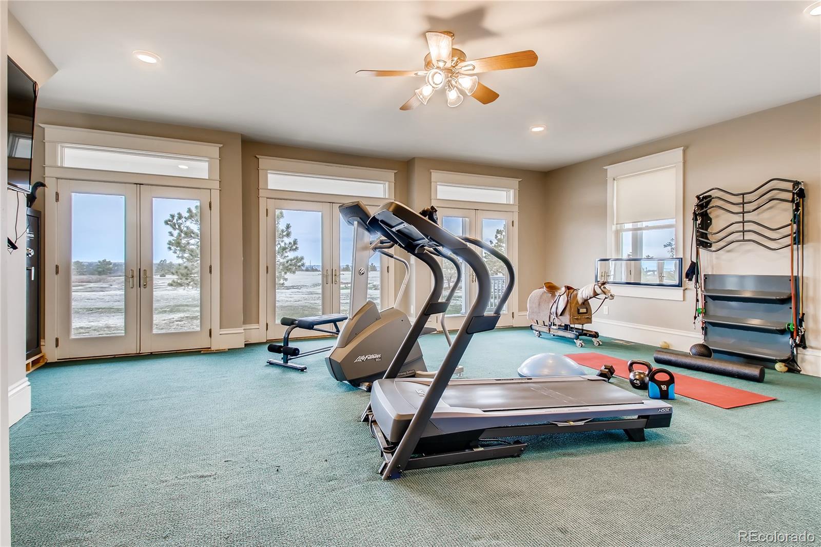 727 East Rim Road Franktown, CO 80116 - Photo 26 of 40 a view of a room with gym equipment