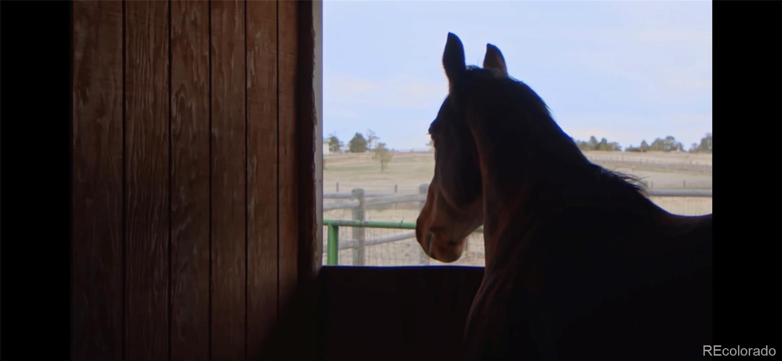 727 East Rim Road Franktown, CO 80116 - Photo 31 of 40