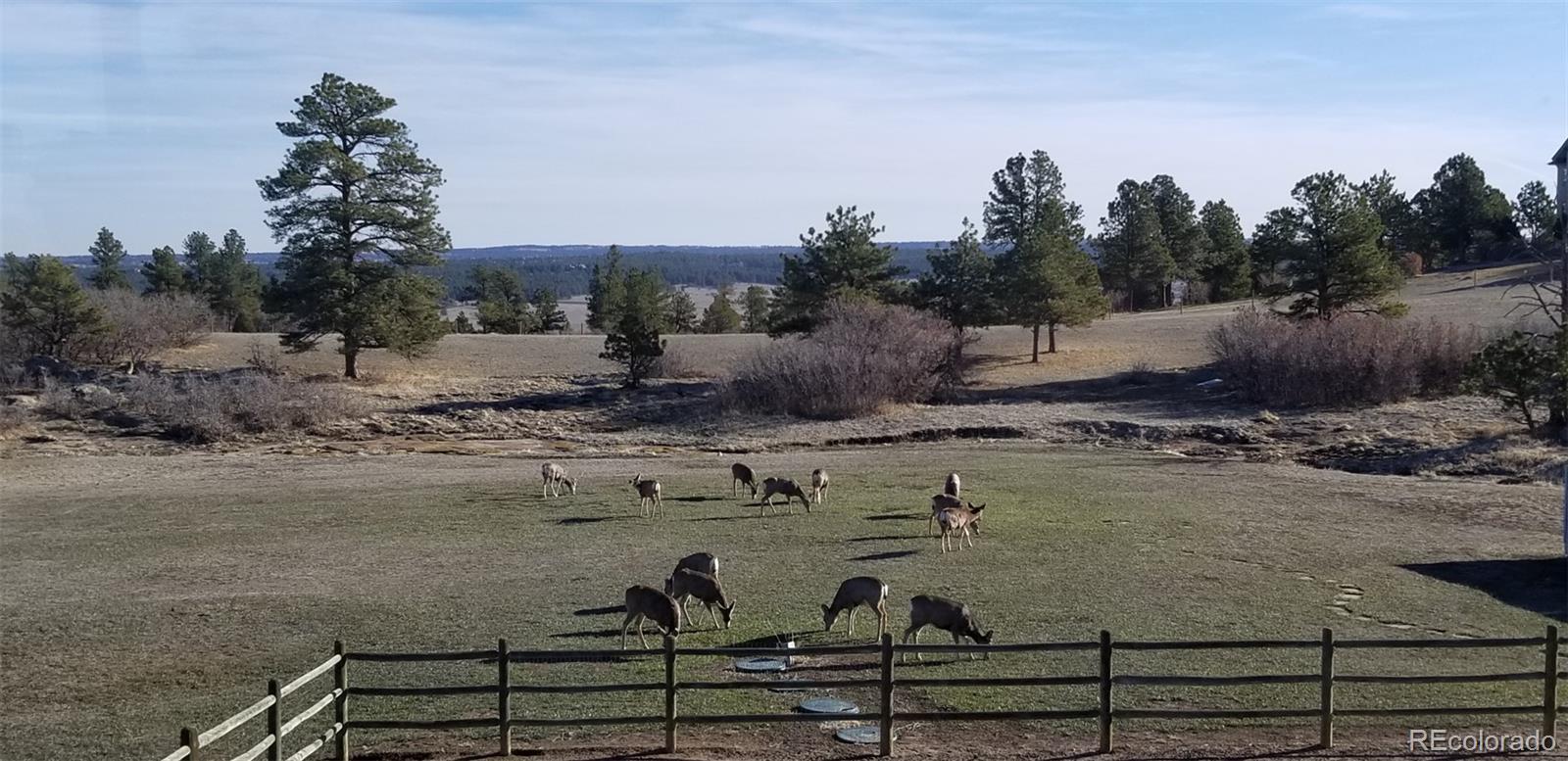 727 East Rim Road Franktown, CO 80116 - Photo 38 of 40 a view of a backyard of the house