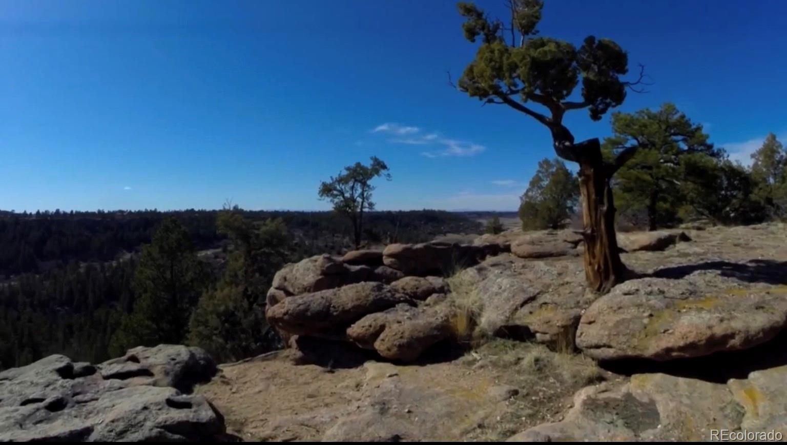 727 East Rim Road Franktown, CO 80116 - Photo 8 of 40 a view of a backyard of the house