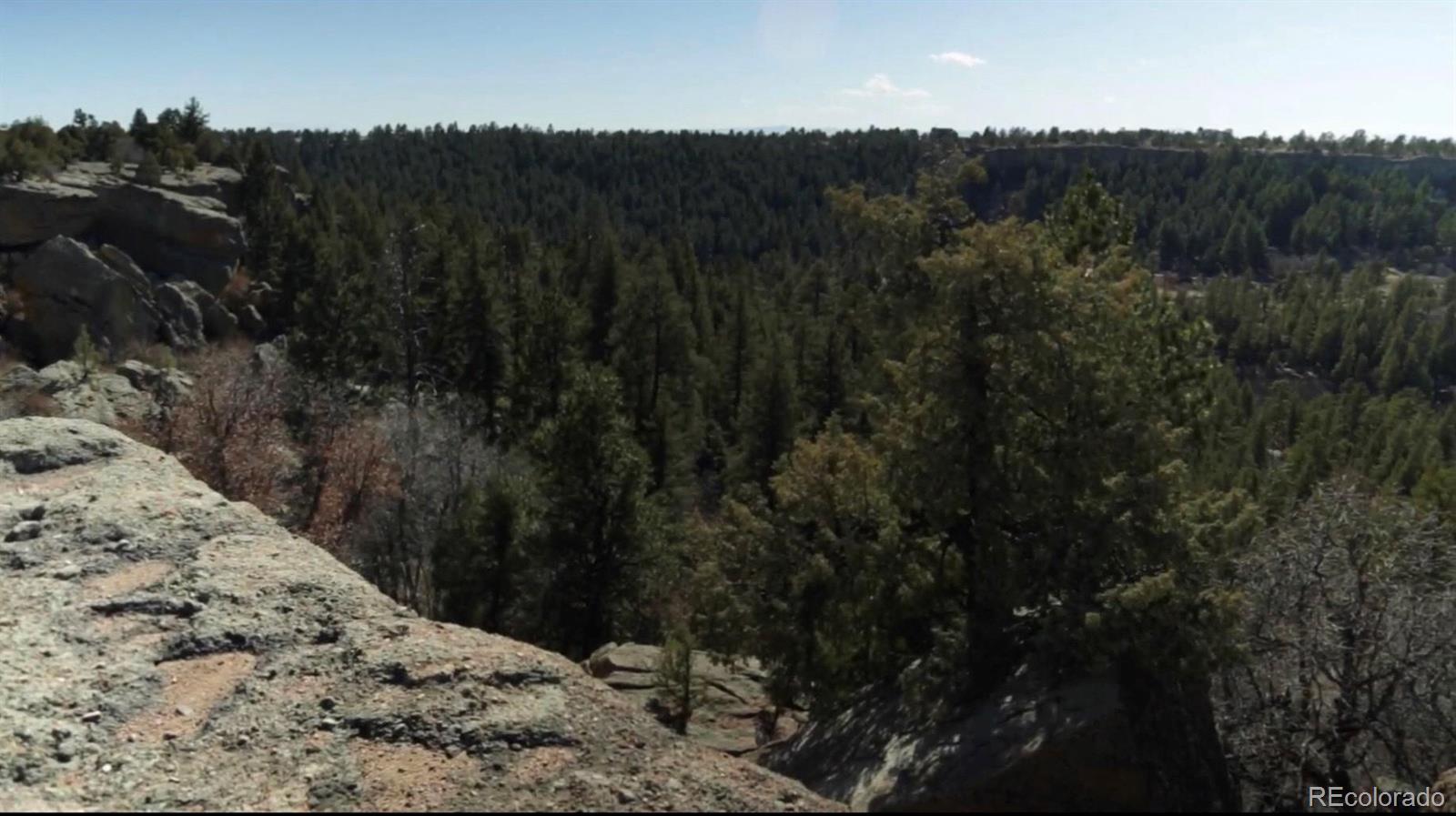 727 East Rim Road Franktown, CO 80116 - Photo 9 of 40 a view of a dry yard