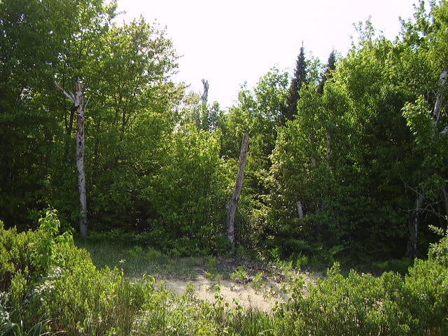 11000 North Whitefish Point Road Paradise, MI 49768 - Photo 7 of 9 Gallery Image 7