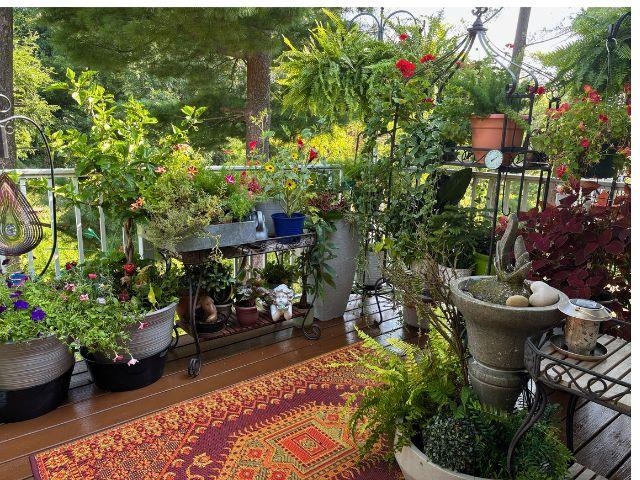 702 Clardell Drive Sun Prairie, WI 53590 - Photo 32 of 35