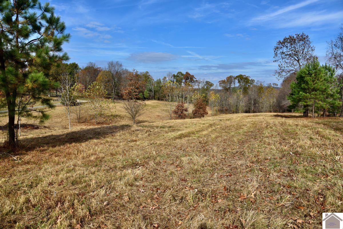 0 Goodsprings Road Fredonia, KY 42411 - Photo 11 of 33 Photo 11