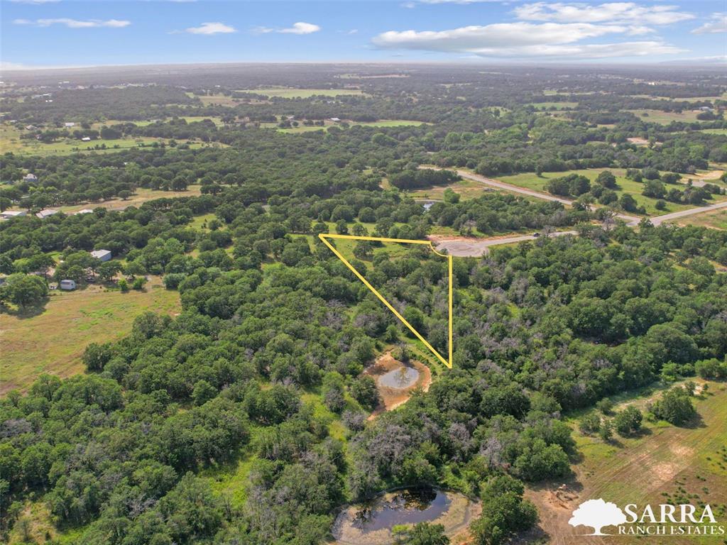 Lot 32 Galway Road Poolville, TX 76487 - Photo 5 of 18