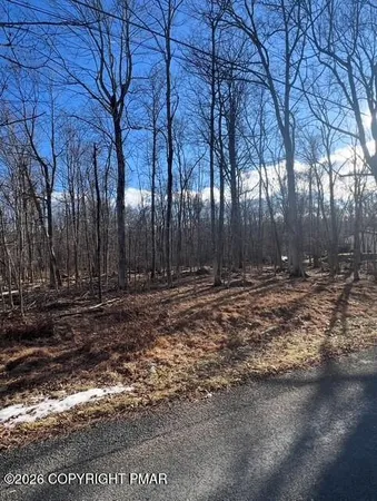 a view of outdoor space with lots of trees