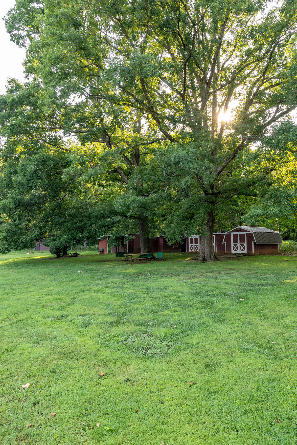 2217 Blue Ridge Springs Road Blue Ridge, VA 24064 - Photo 40 of 45 2217 Blue Ridge_web-34