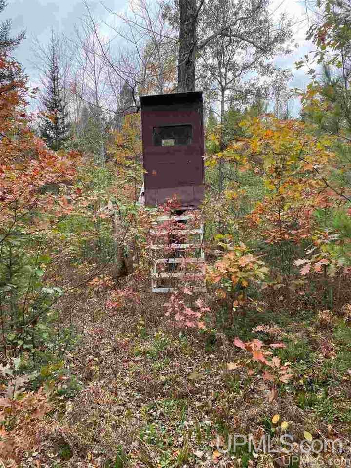 T-wi Weckerle Road Pembine, WI 54156 - Photo 22 of 36