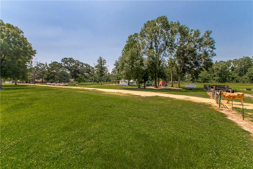 Tbd Woodhaven Road Tickfaw, LA 70466 - Photo 1 of 12