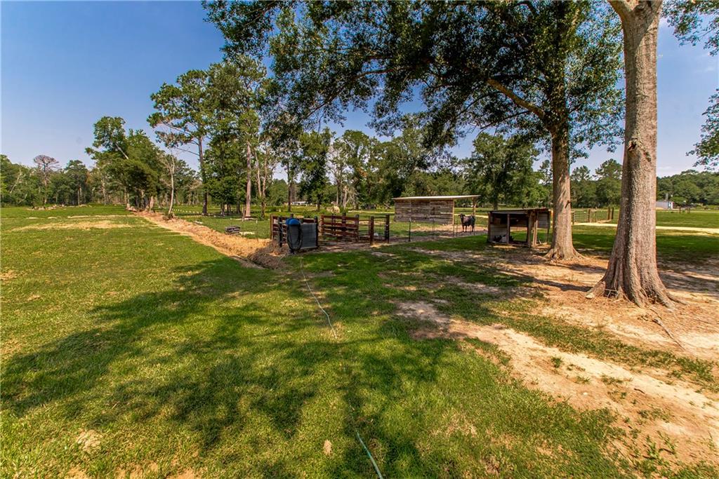 Tbd Woodhaven Road Tickfaw, LA 70466 - Photo 2 of 12
