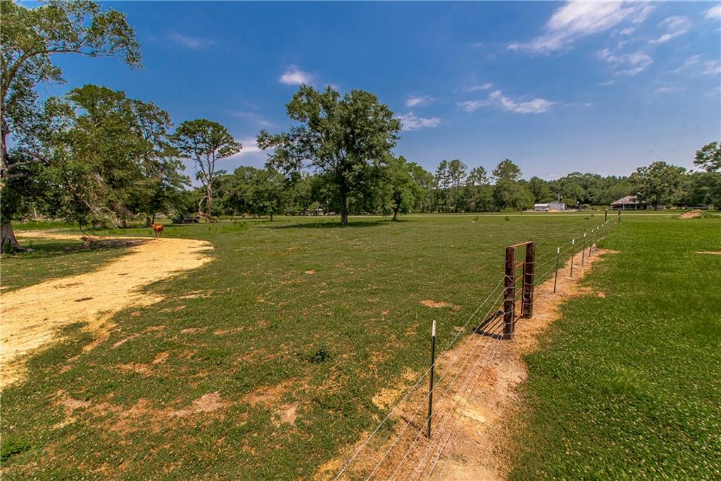 Tbd Woodhaven Road Tickfaw, LA 70466 - Photo 3 of 12