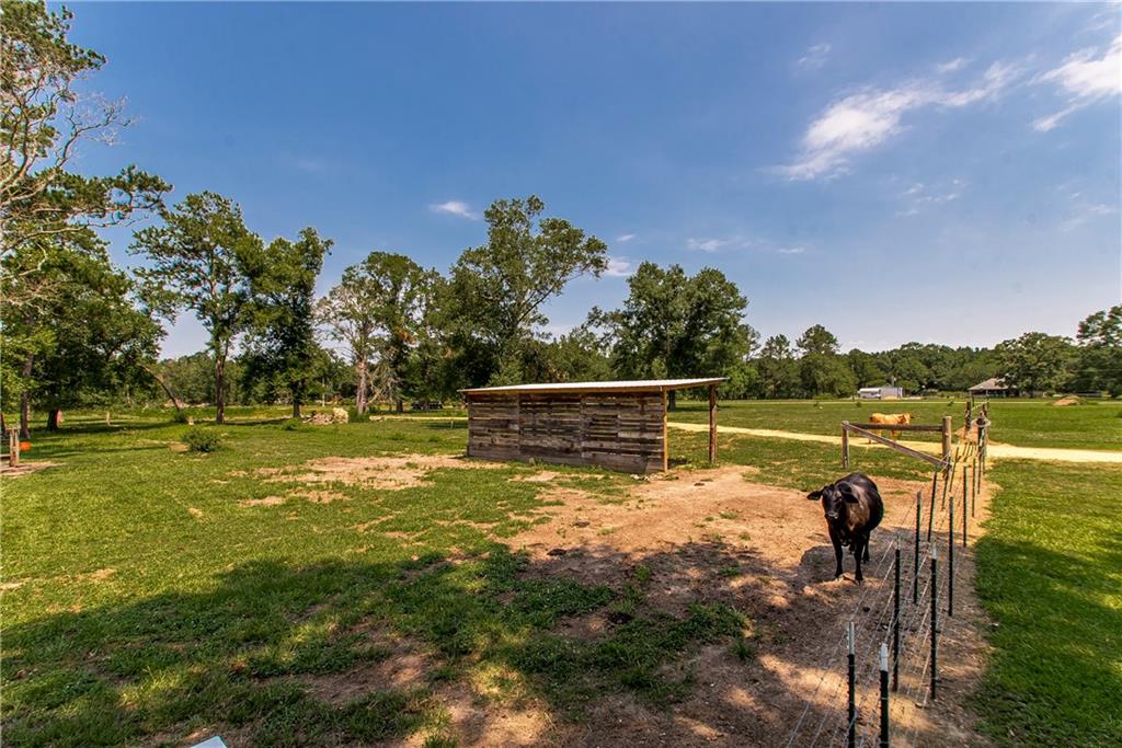 Tbd Woodhaven Road Tickfaw, LA 70466 - Photo 4 of 12