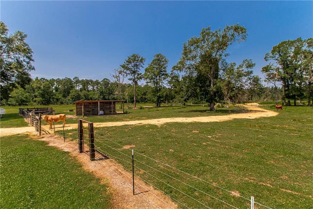 Tbd Woodhaven Road Tickfaw, LA 70466 - Photo 5 of 12