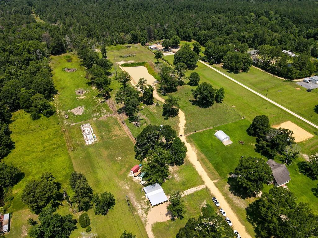 Tbd Woodhaven Road Tickfaw, LA 70466 - Photo 9 of 12