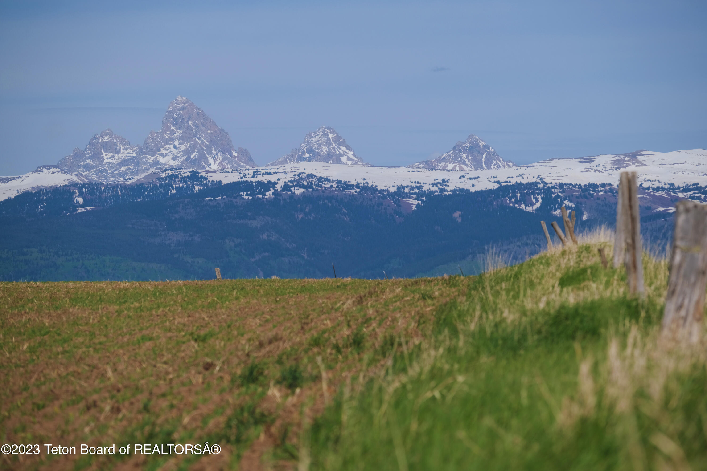 1d2fa604-669c-4839-8954-5c96e656cf38