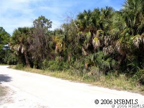 0 Ruth Drive Edgewater, FL 32132 - Photo 1 of 2 Gallery Image 1
