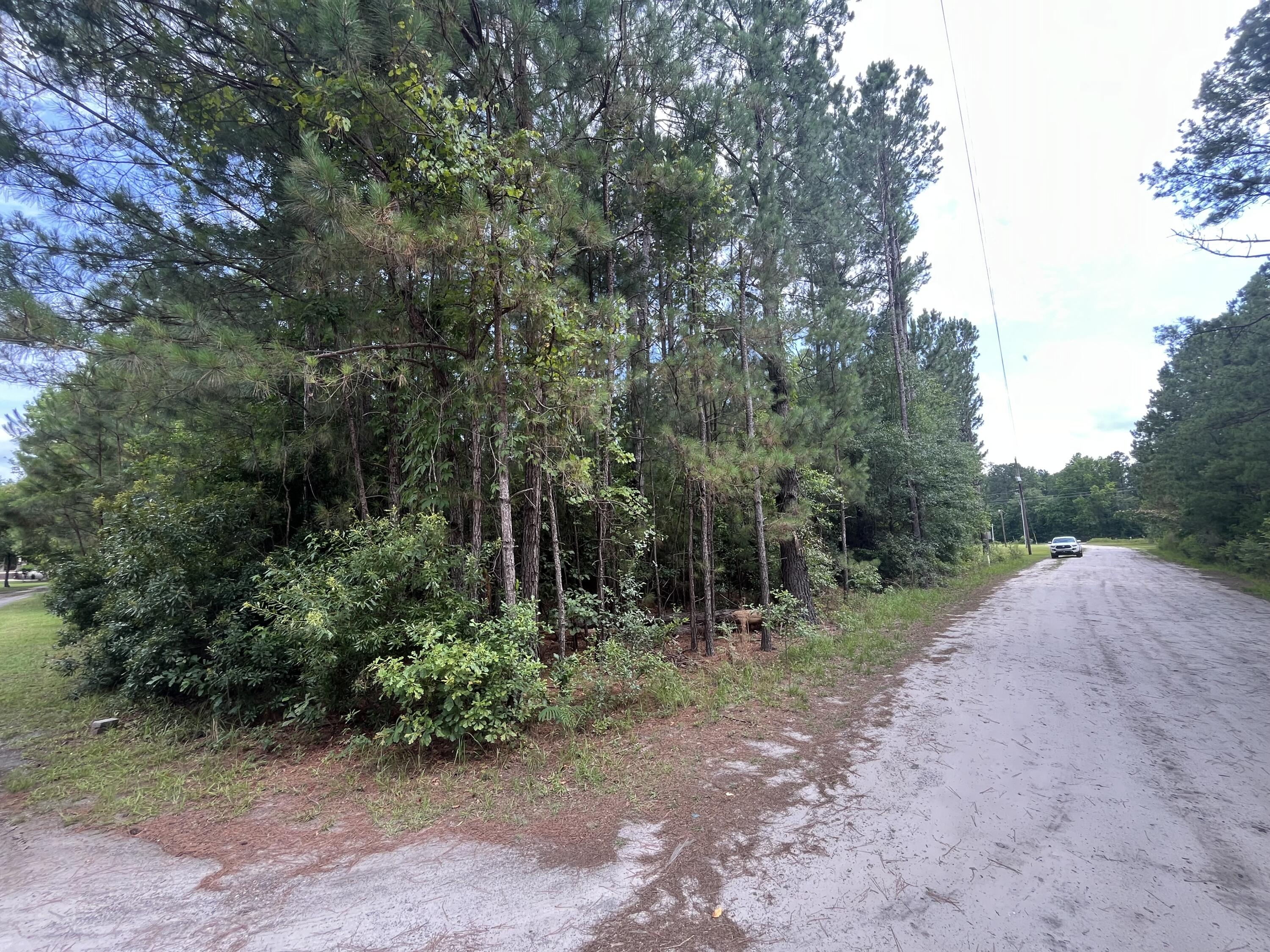 398 Pond Town Road Hampton, SC 29924 - Photo 2 of 9 IMG_1541