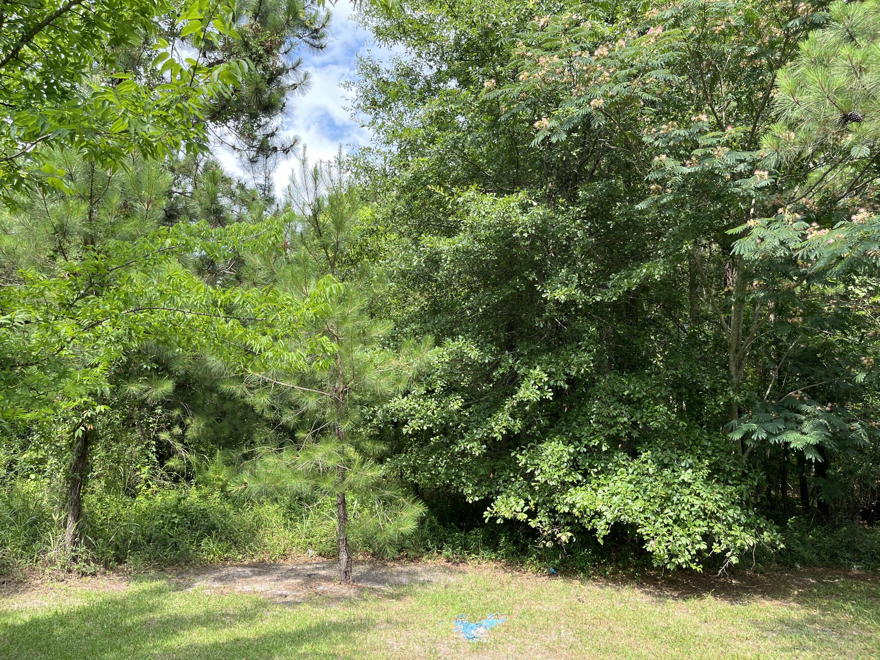 398 Pond Town Road Hampton, SC 29924 - Photo 6 of 9 IMG_1526