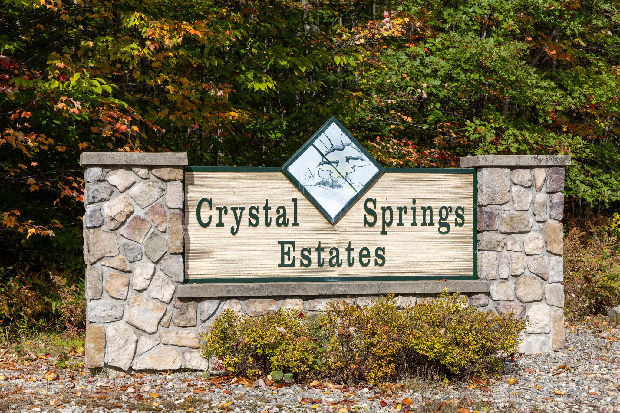 Spring Valley Drive Cadillac, MI 49601 - Photo 19 of 19 19