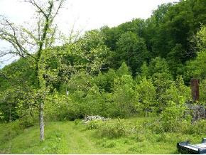 0 Marshall Road Kyles Ford, TN 37765 - Photo 3 of 8 Photo 3