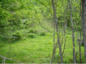 0 Marshall Road Kyles Ford, TN 37765 - Photo 7 of 8 Photo 7