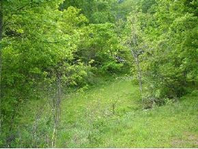 0 Marshall Road Kyles Ford, TN 37765 - Photo 8 of 8 Photo 8