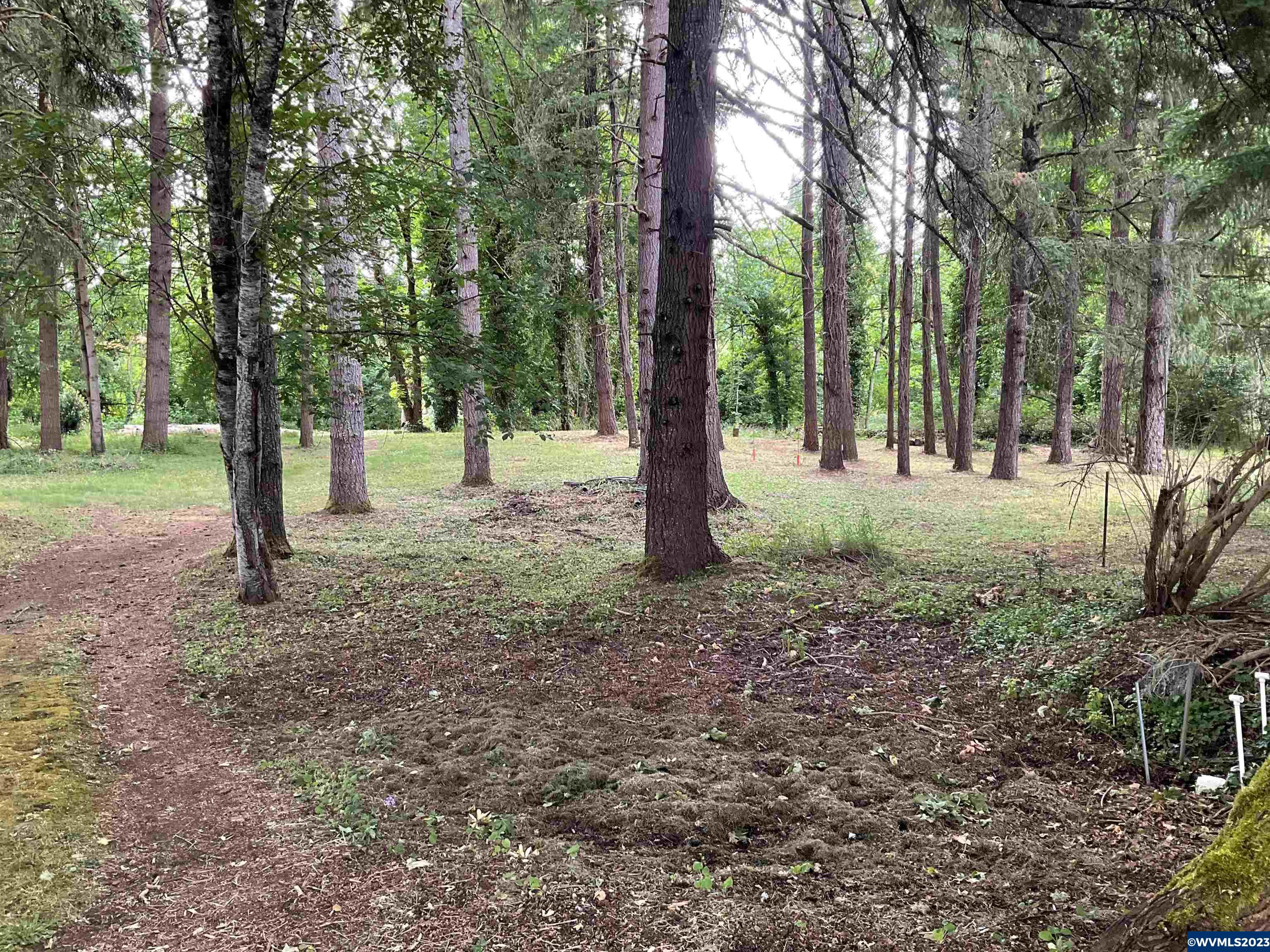 806 Southwest River Drive Dallas, OR 97338 - Photo 12 of 35