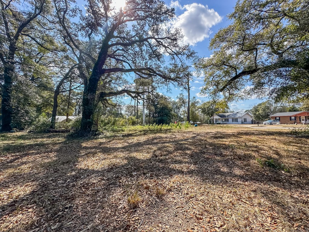 0 North Morris Street Geneva, AL 36340 - Photo 4 of 6