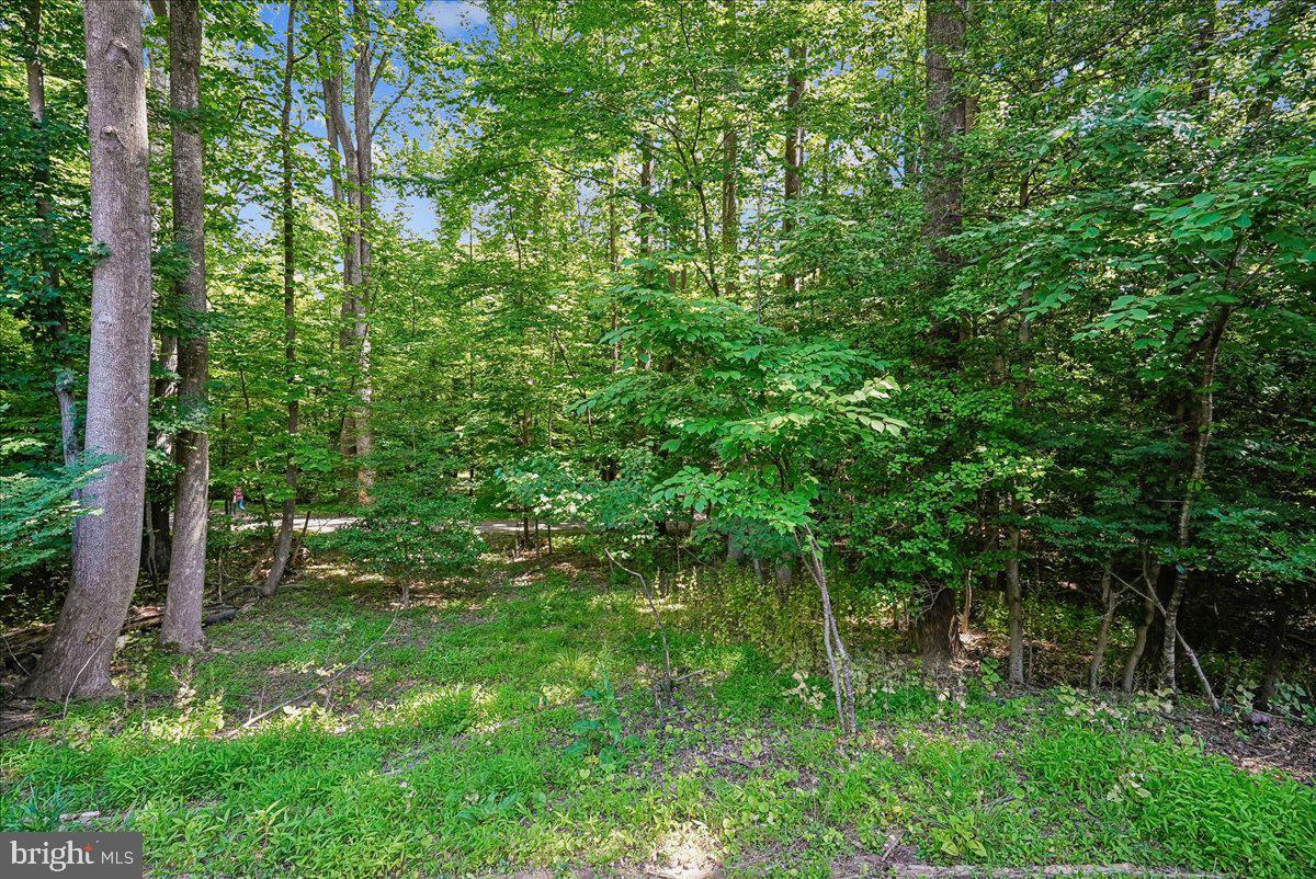 2331 Middle Creek Lane Reston, VA 20191 - Photo 7 of 78 a backyard of a house with lots of green space and a lake view