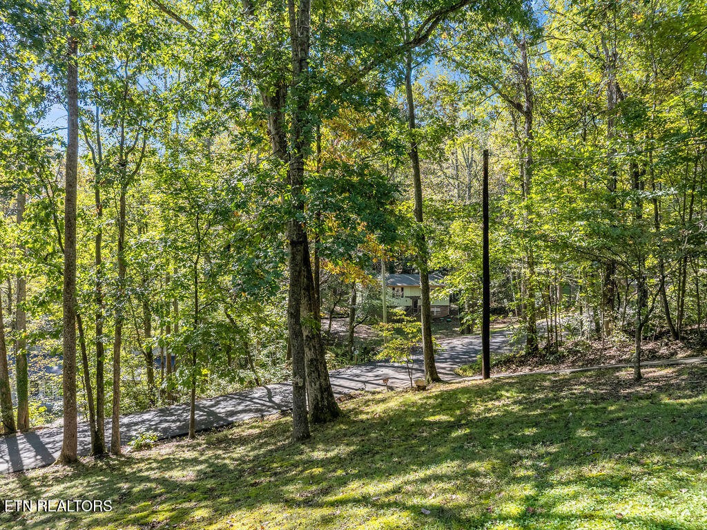 170 Cedar Circle Powell, TN 37849 - Photo 24 of 27 a view of outdoor space with trees