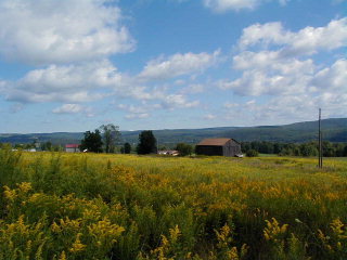 0 Hall Road Alpine, NY 14805 - Photo 1 of 1
