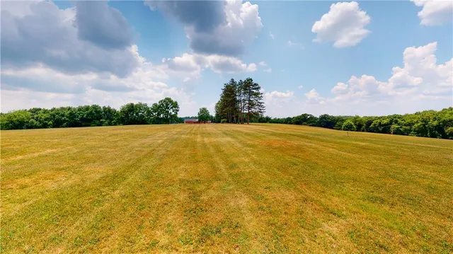 a view of a big yard with large trees