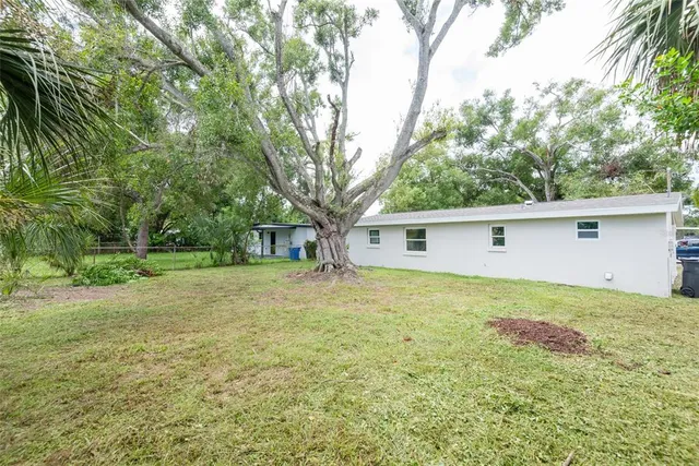 a view of a backyard with a large tree