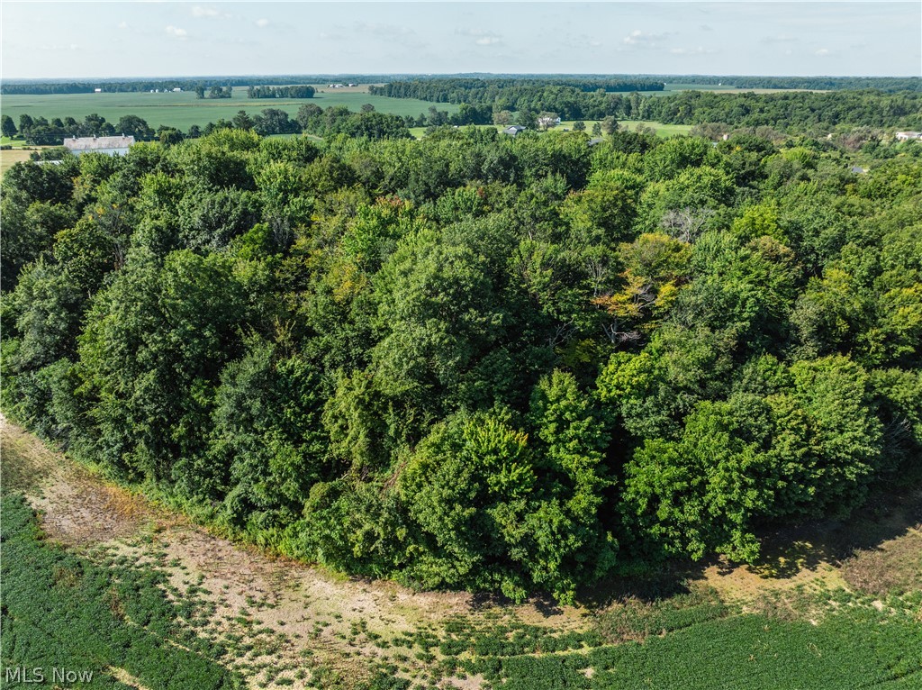 Sycamore Road Centerburg, OH 43011 - Photo 24 of 50 Gallery Image 24
