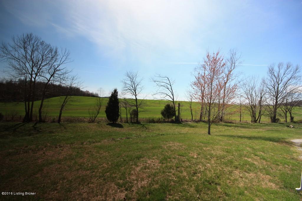 17201 Beaver Dam Road Caneyville, KY 42721 - Photo 5 of 30 4 1 SPARKS AUCTION