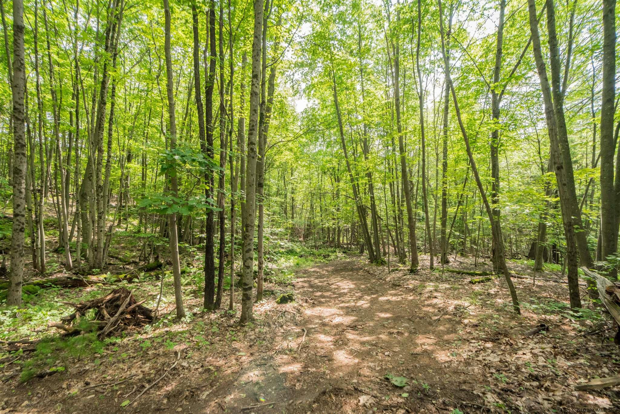 2 Moore Road Greenfield, NY 12850 - Photo 42 of 55 Photo 42